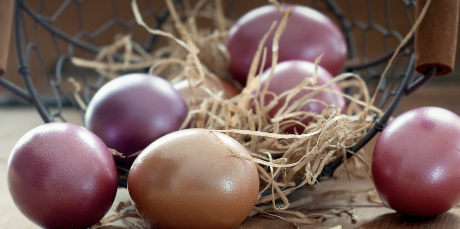 Healthy & happy Easter